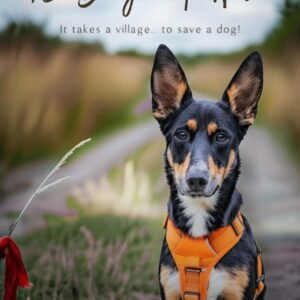 98 Days of Nila: It Takes a Village.. to Save a Dog !