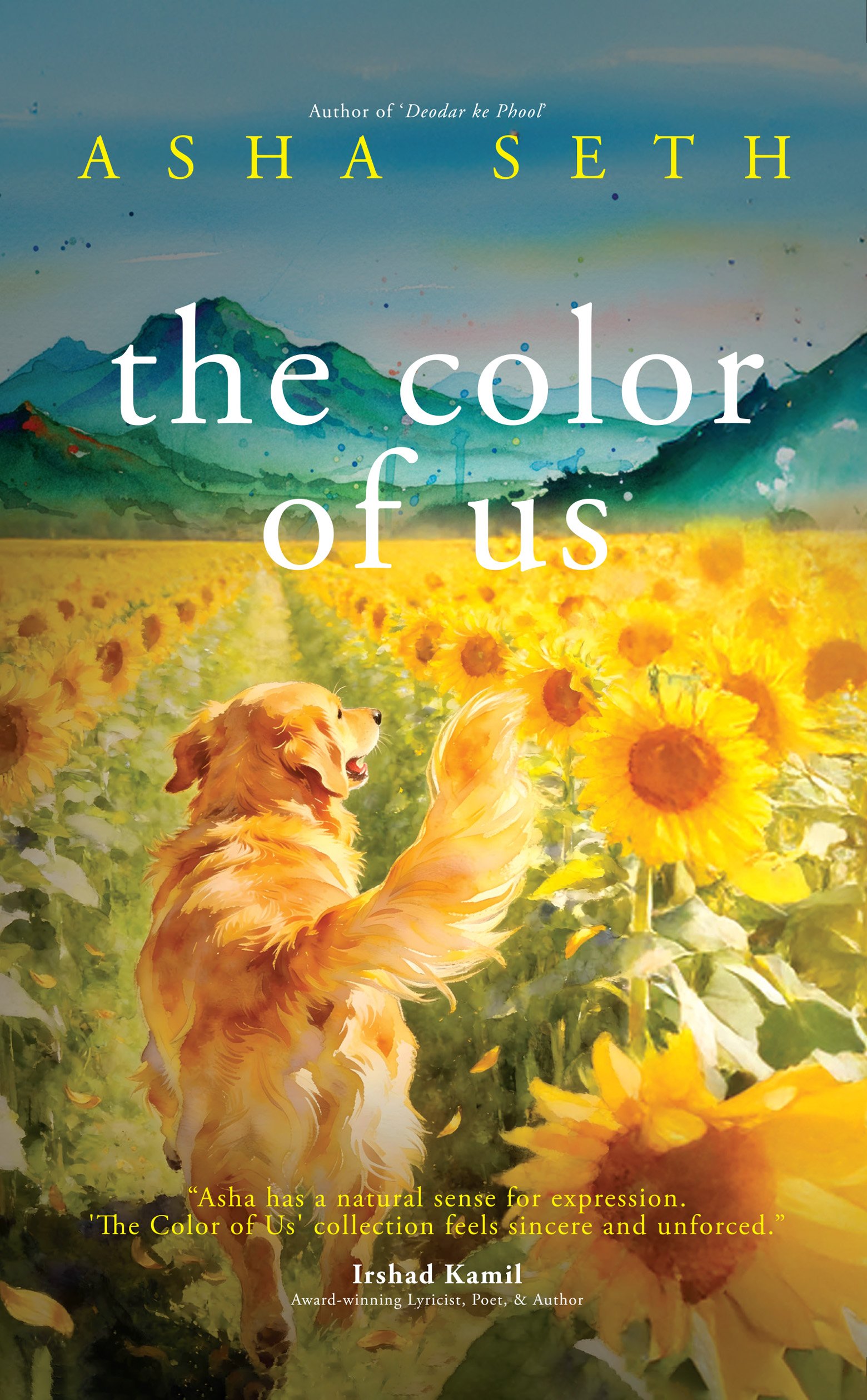 The Color of Us (Paperback)